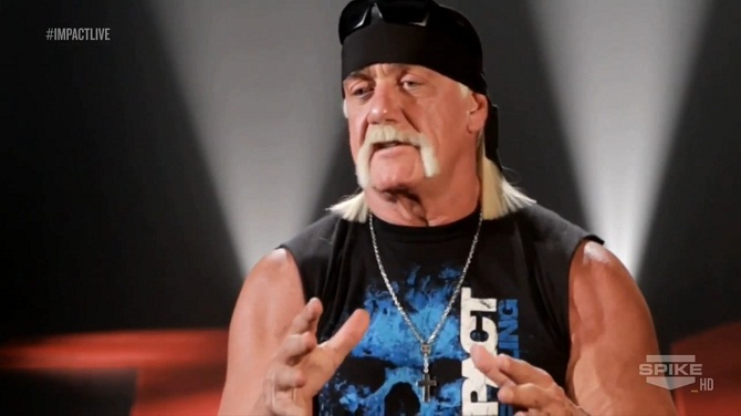 Hulk Hogan2