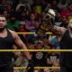authors of pain nxt
