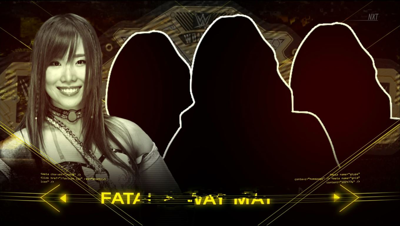fatal 4 way nxt takeover houston