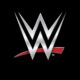 WWE Network logo Black1