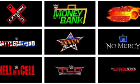 wwe pay per view
