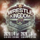 wrestle kingdom 14
