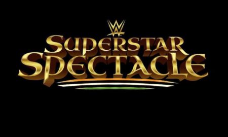 wwe superstar spectacle