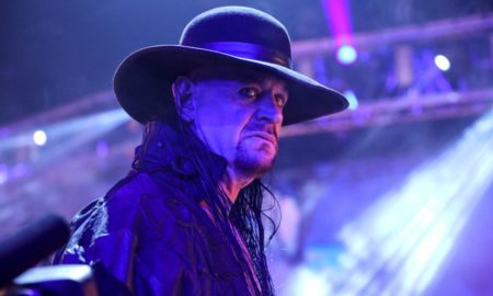 wwe undertaker hall of fame