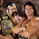 wwe hall of fame steiner brothers