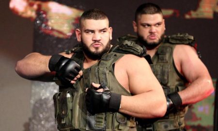 wwe aop authors of pain