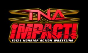 TNA : naissance, succès et ingrédients de son retour en 2024.