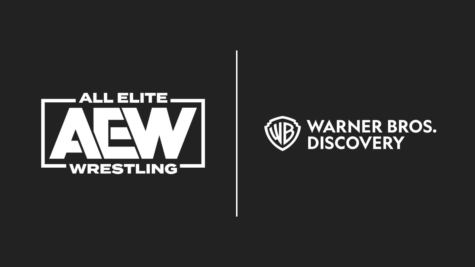 aew warner bros discovery